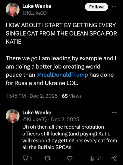 Screenshot of a December 2025 Luke Wenke X/Twitter post threatening to drop stray cats off at stalking victim Katie's house.